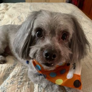 Meet your Posher, Leslie